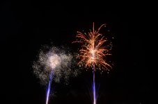 DSC_7477.jpg