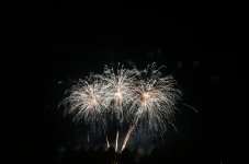 DSC_7532.jpg