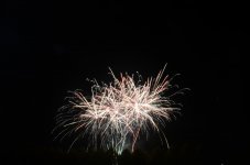 DSC_7557.jpg
