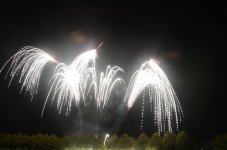 DSC_7565.jpg