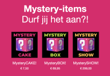 Scherm­afbeelding 2023-10-18 om 16.31.39.png