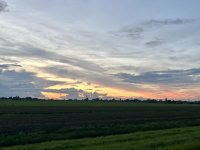 IMG_7691.jpg