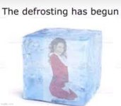 defrosting.jpg