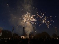 IMG_5550.jpg