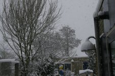 Dec2009.jpg