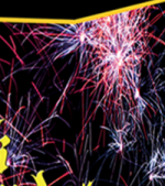 210453-black-thunder.png