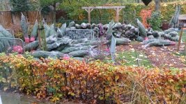 IMG-20231118-WA0013.jpg