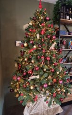 IMG_20231120_142058.jpg