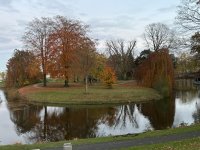 IMG_1683.jpg