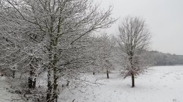 IMG_1315.jpg