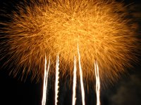 IMG_2409.jpg
