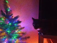 20231206_182322.jpg