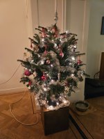kerstboom.jpg