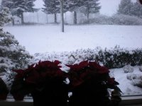 Sneeuw 17-12-09 011.jpg