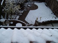 Witte 2de Paasdag 002.jpg
