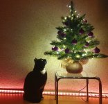 kerst 2023.jpg