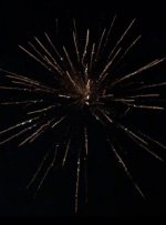 IMG_6389.jpg