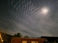20231226_205128.jpg