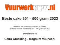 Trofee Beste Cake 301-500 gram 2023.jpg