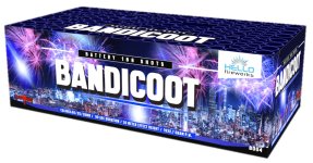 Bandicoot.jpg