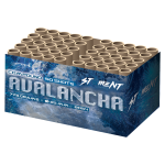 8054_avalancha_2024.png