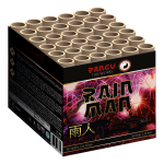 3603_rain man_2024.png