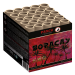 3604_Boracay_2024.png