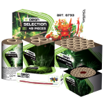 8793_DRGN SELECTION_2024.png