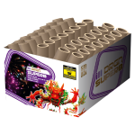 3357_DRGN superb_2024.png