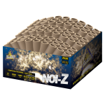 2626_NOI-Z_2024.png