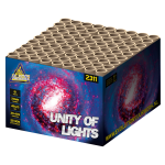 2311_unity of lights_2024.png