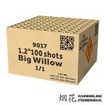 Klik op afbeelding voor grotere versie  Naam:	1-2-100s-big-willow-6658fcd8bcaf1182431897.jpg Vertoningen:678 Grootte:90,0 KB ID:	1794391