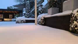 20210207_174755.jpg