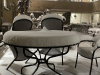 thumbnail_IMG_7929.jpeg