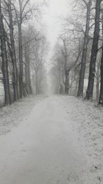 IMG-20171210-WA0037.jpg