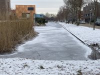 IMG_1979.jpeg