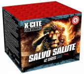 Salvo Salute.jpg Salvo Salute.jpg
