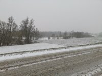 Sneeuw 3.jpg