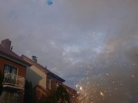 PC311737.jpg