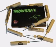 Tarantula-spaanse-nitraat[1].jpg