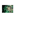 Untitled.png