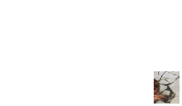 vwcvwc.png