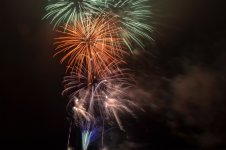 DSC_0242.jpg