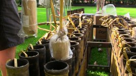 IMG_1808.jpg