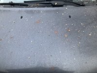 IMG_7726.jpeg