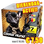 VWT 2720-Cooler-Hund-Pyro-Mannschaft-Feuerwerk-Vuurwerktotaal-dierendag.jpg