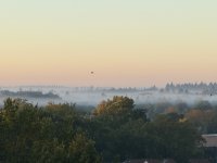 IMG_9754.jpeg