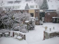 Sneeuw 17-12-09 016.JPG