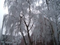 21 December 2007  WINTER!!! 005.jpg