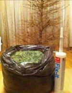 IMG_7142.jpeg